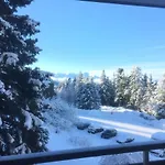 Cocoon A 100 M Des Pistes Apartment