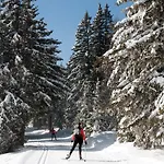 Apartment Cocoon A 100 M Des Pistes