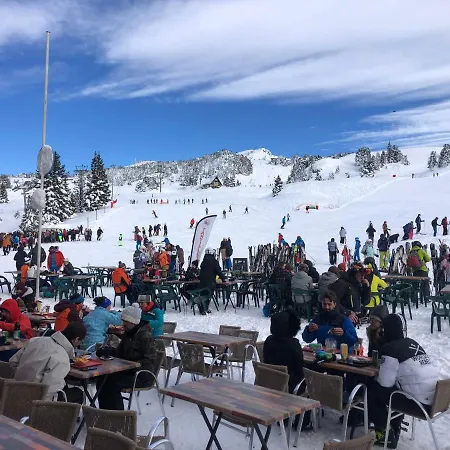 Cocoon A 100 M Des Pistes *