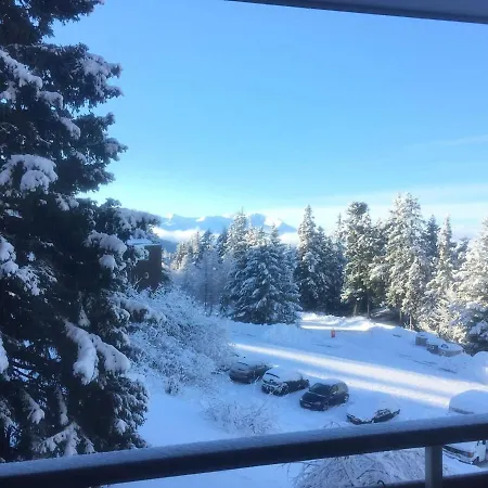 Cocoon A 100 M Des Pistes 公寓