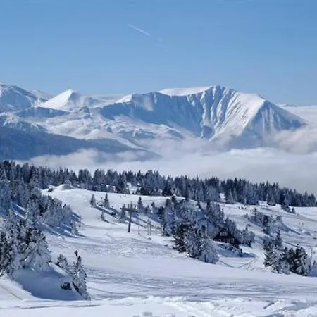 Cocoon A 100 M Des Pistes 公寓 尚鲁斯