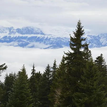 公寓 Cocoon A 100 M Des Pistes *