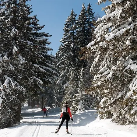公寓 Cocoon A 100 M Des Pistes
