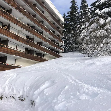 Cocoon A 100 M Des Pistes