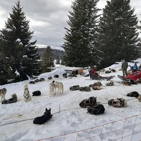 Cocoon A 100 M Des Pistes *
